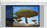 FastStone Image Viewer
