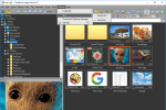 FastStone Image Viewer