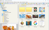 FastStone Image Viewer