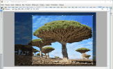 FastStone Image Viewer