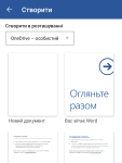 Microsoft Word