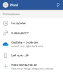 Microsoft Word