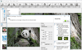 Photo! Editor