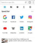 Puffin Browser