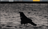 RealPlayer