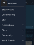 Steam