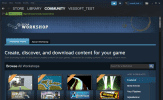 Steam
